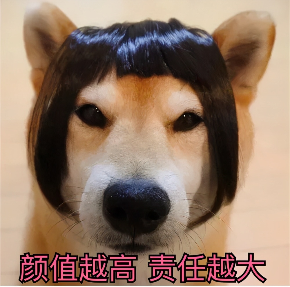 妈妈训孩子狗子护孩子,家长教育孩子对待宠物