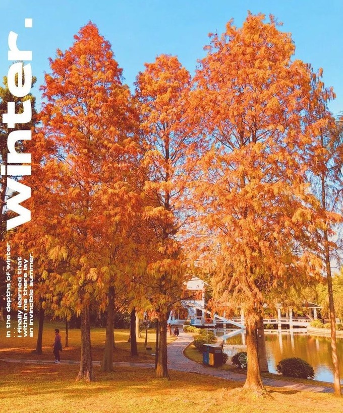 2023年厦门自由行热门攻略,厦门春节旅游攻略自由行最佳路线