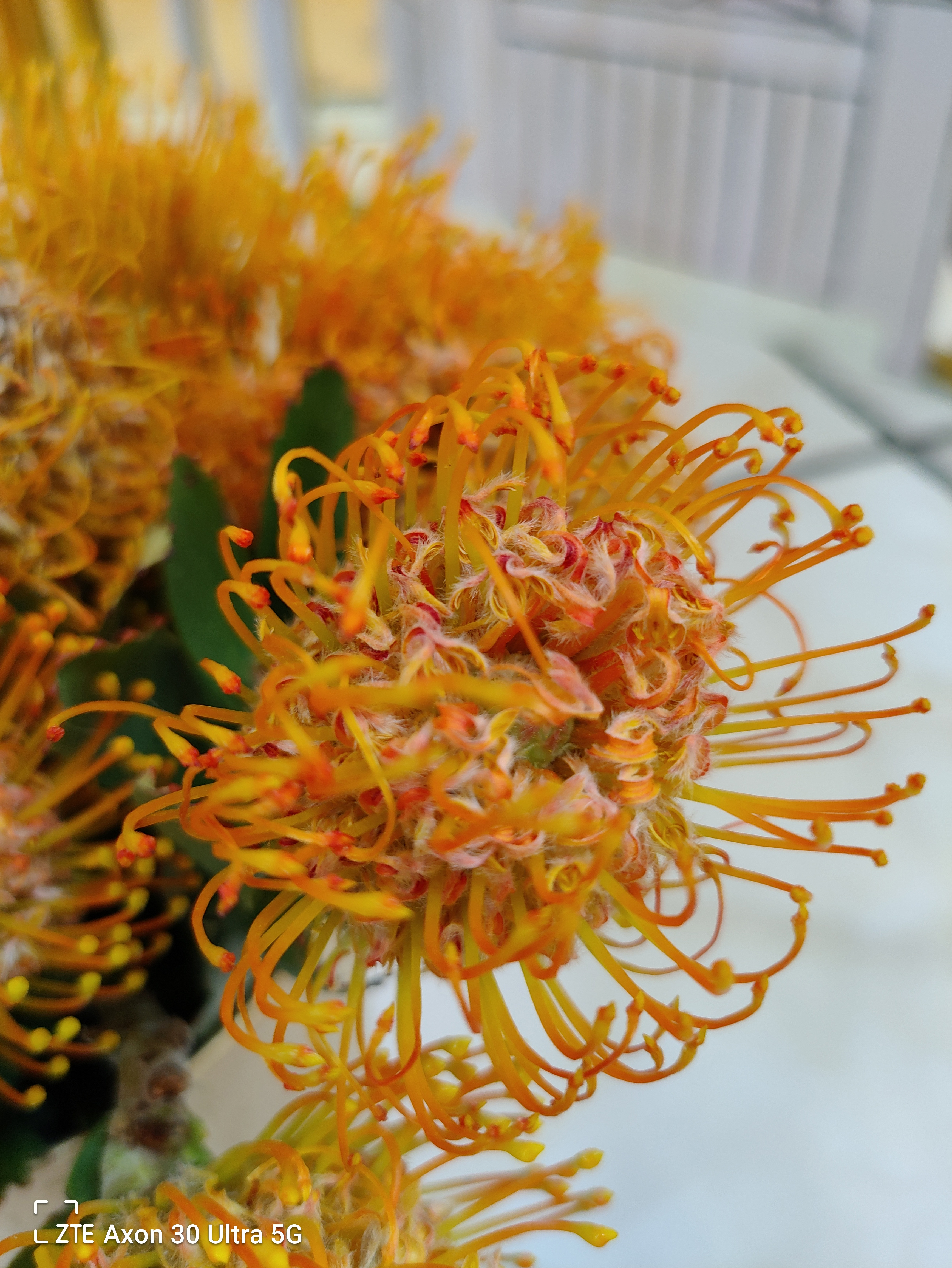 中兴axon30ultra和努比亚z30pro,中兴axon30ultra对比魅族18pro