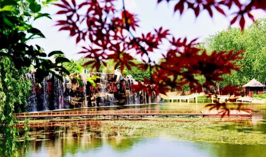 山东百强县2021年排名,山东2021百强县排名榜