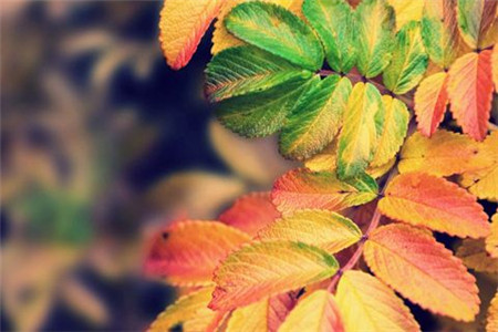 一问三不知最初说的是哪三不知,古语一问三不知说的是哪三不知