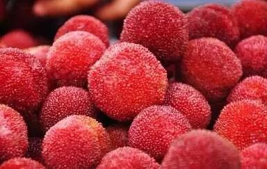 湖州老太尝鲜杨梅却直接进ICU！这种说法切莫再相信了！