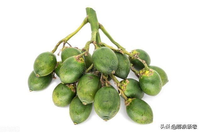 槟榔种植的危害,家乡种槟榔有害吗