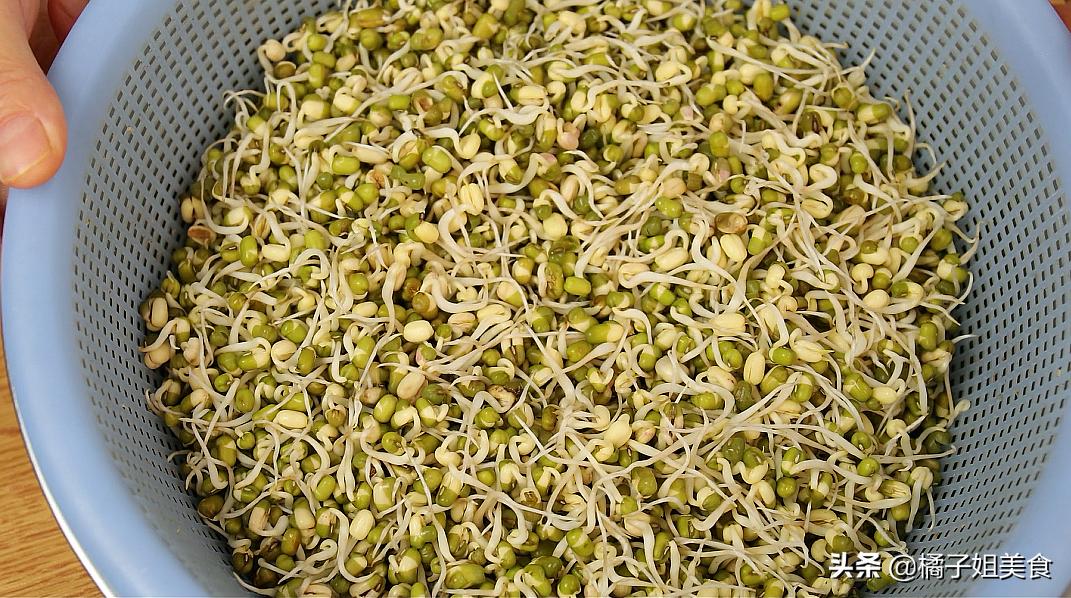 想吃豆芽在家发,教你在家生豆芽