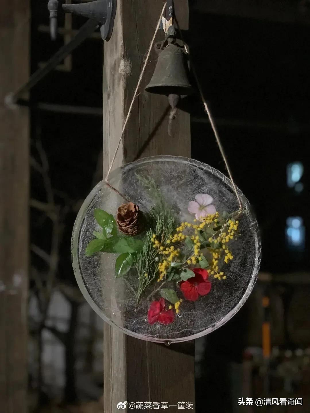 冻冰花美篇,冻冰花的美篇