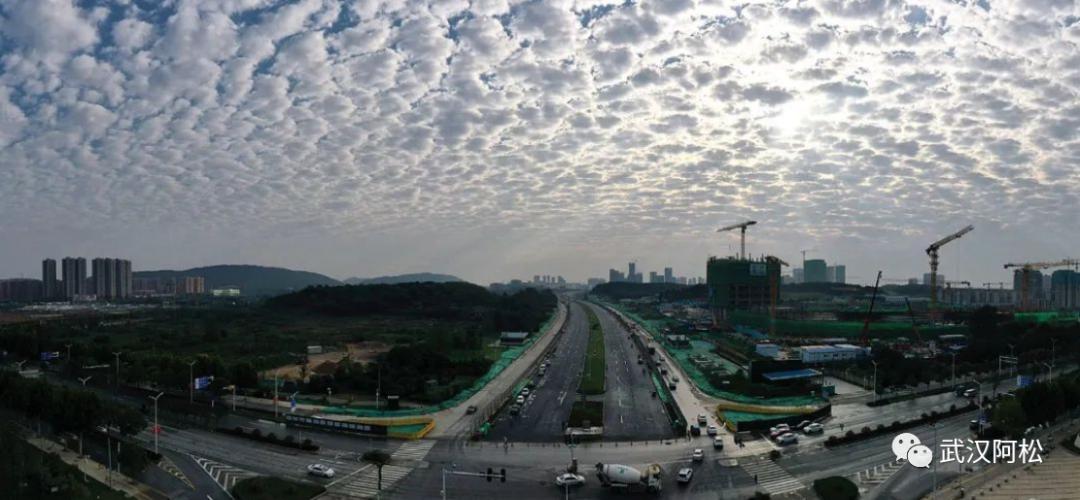 厉害了大湾区,厉害了大中国