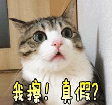 天涯明月刀手游现在情况,天涯明月刀什么时候上架手游的