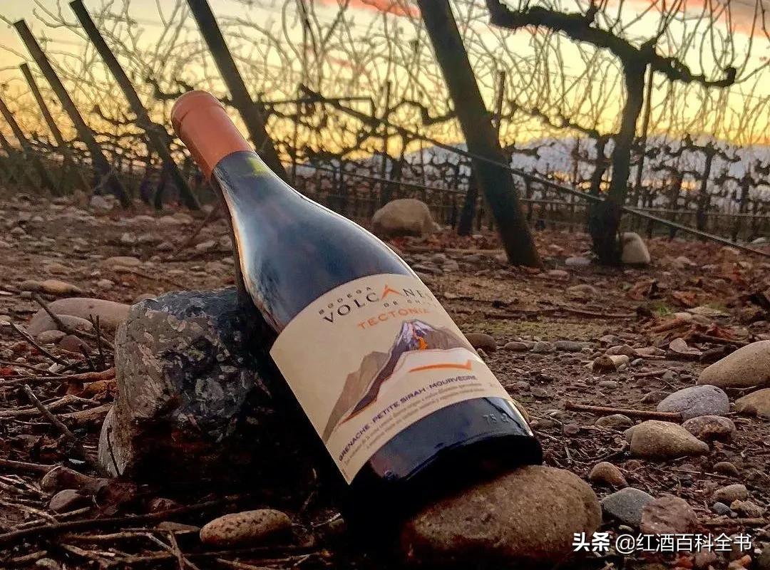 澳洲酒和智利酒,澳洲酒和智利酒的区别