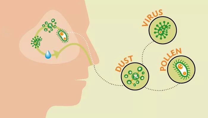 人为啥喜欢挖鼻屎,为什么我们爱抠鼻屎