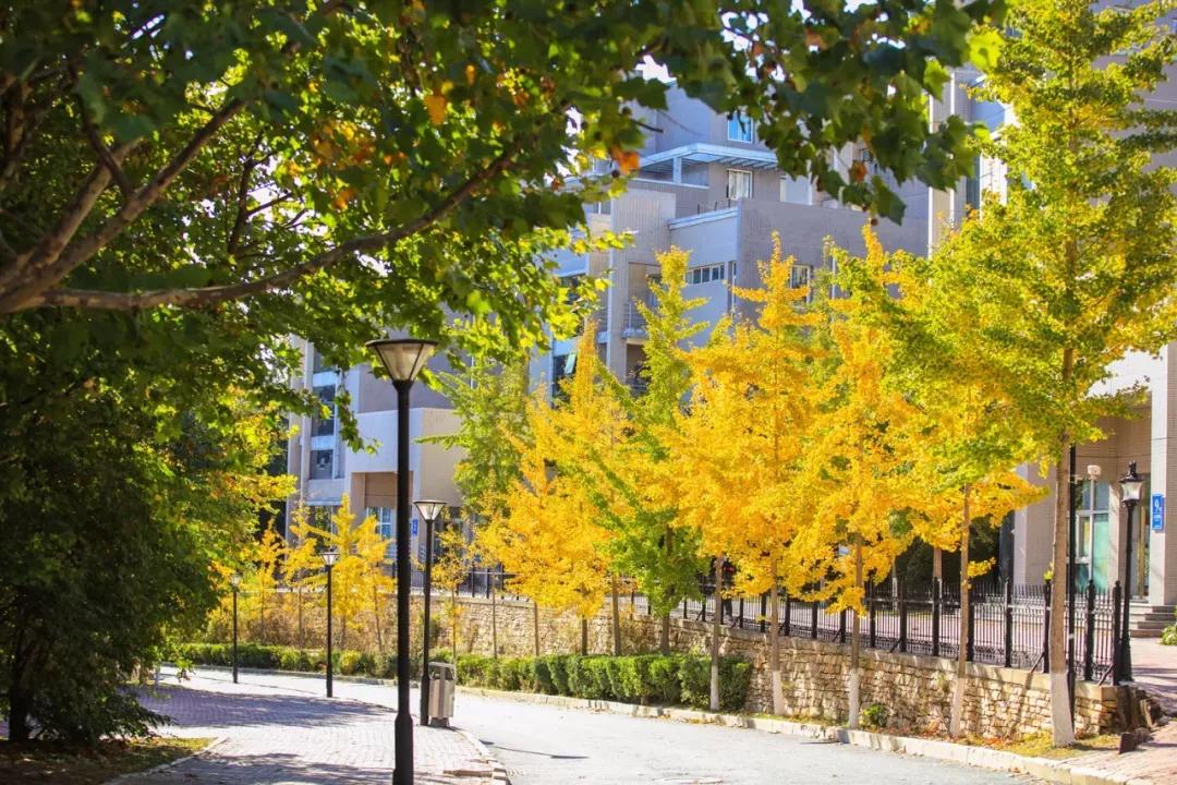 辽宁省民办大学（二）大连东软信息学院