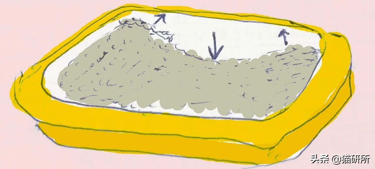 猫砂盆买什么样的最好,猫砂盆选什么的最合适