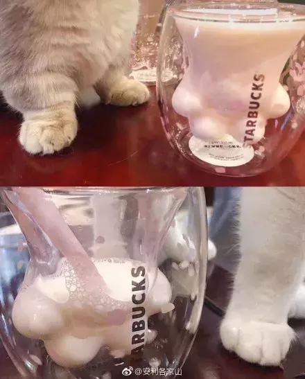 星巴克猫爪杯话题超热,星巴克猫爪杯深夜排队疯抢