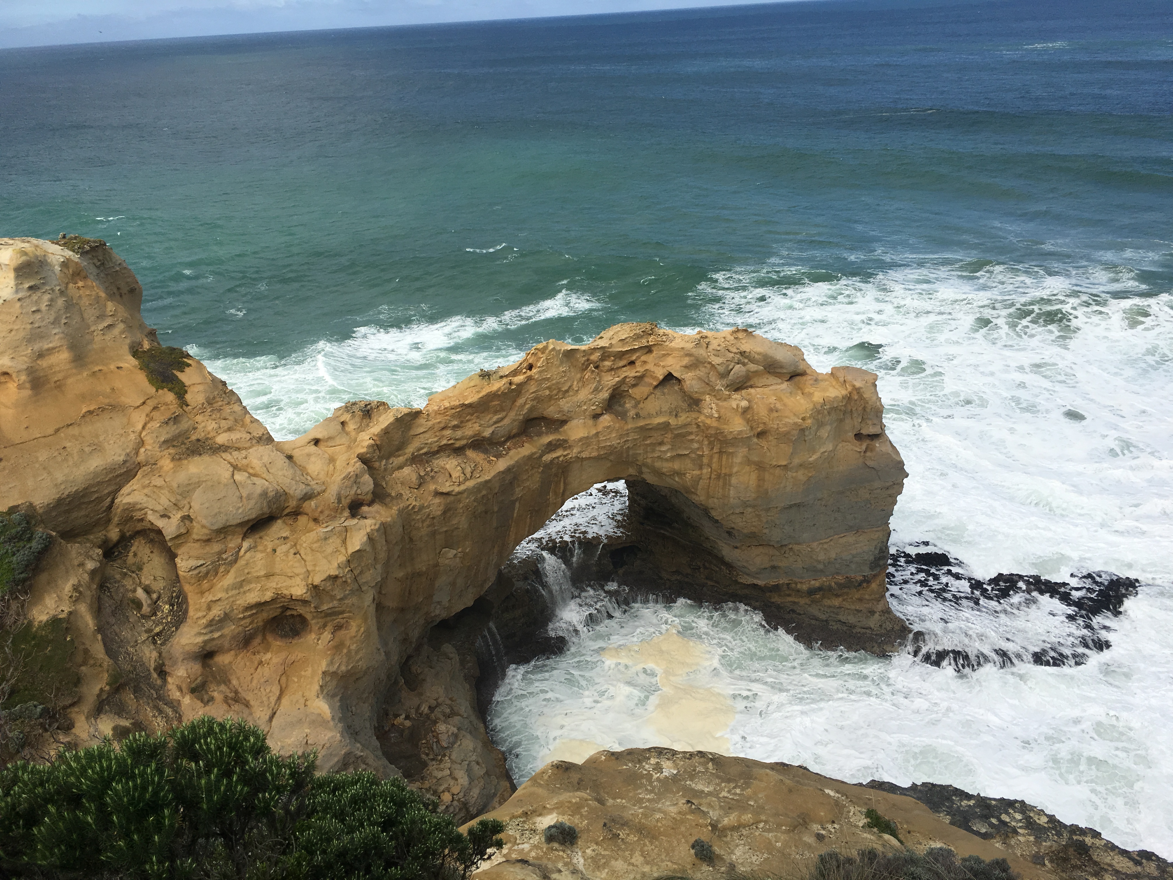 澳大利亚生蚝哪里最好,澳洲最顶级的生蚝