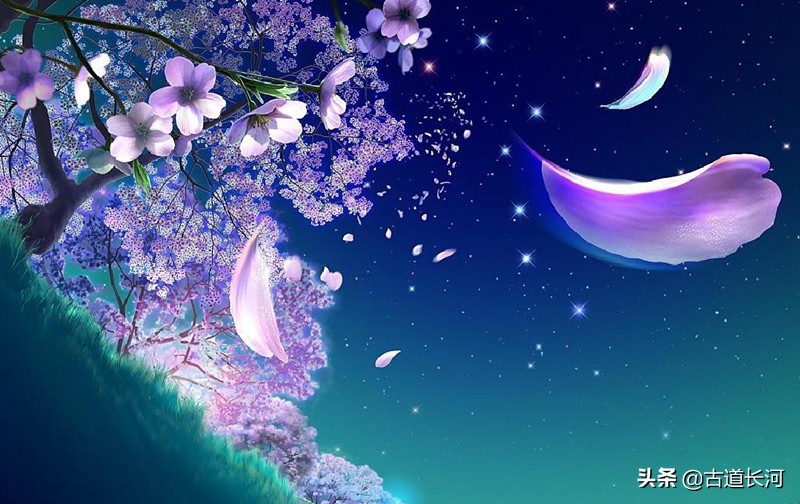 你真的认识她吗：花信风「huāxìn」