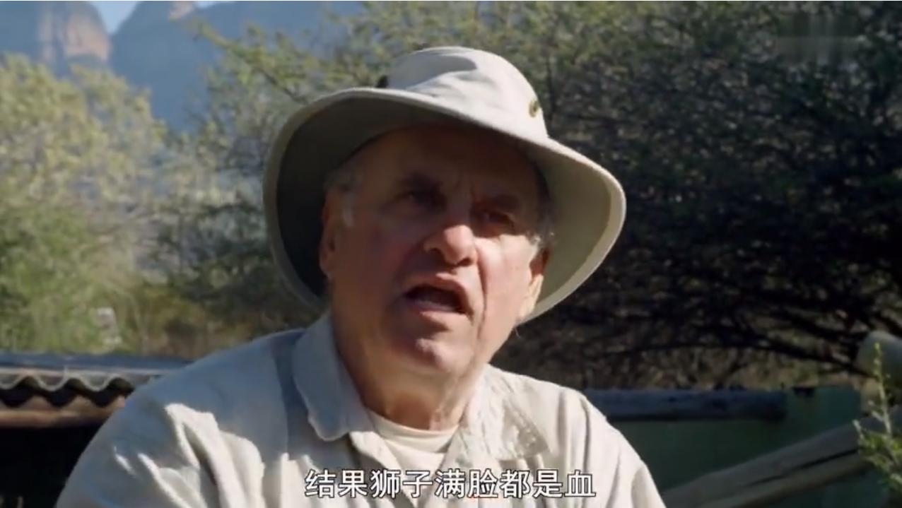 永不服输的蜜獾，曾经有一个保护区饲养了两只，后来怎么样了？