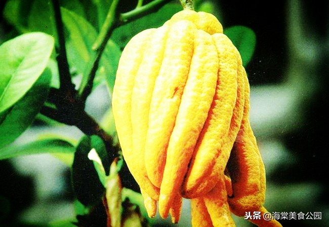 女人40岁多吃三种保养食物,40岁的女性经常吃哪些对皮肤好