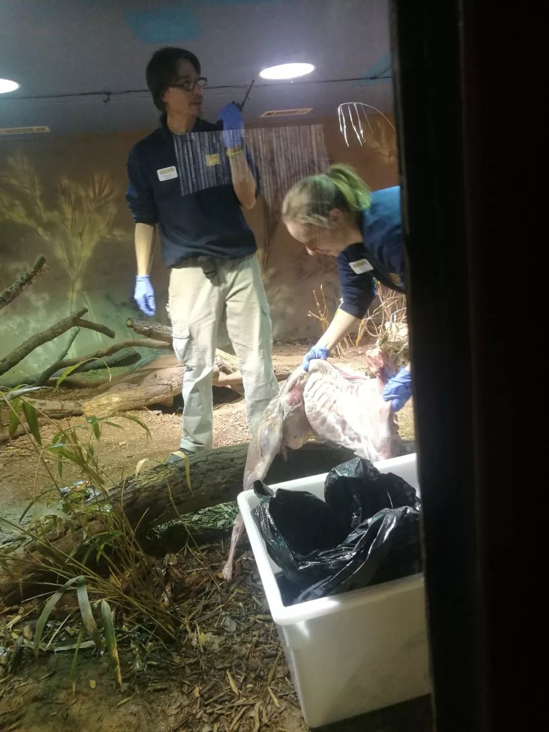 亚特兰大动物园,亚特兰大动物园和华盛顿动物园