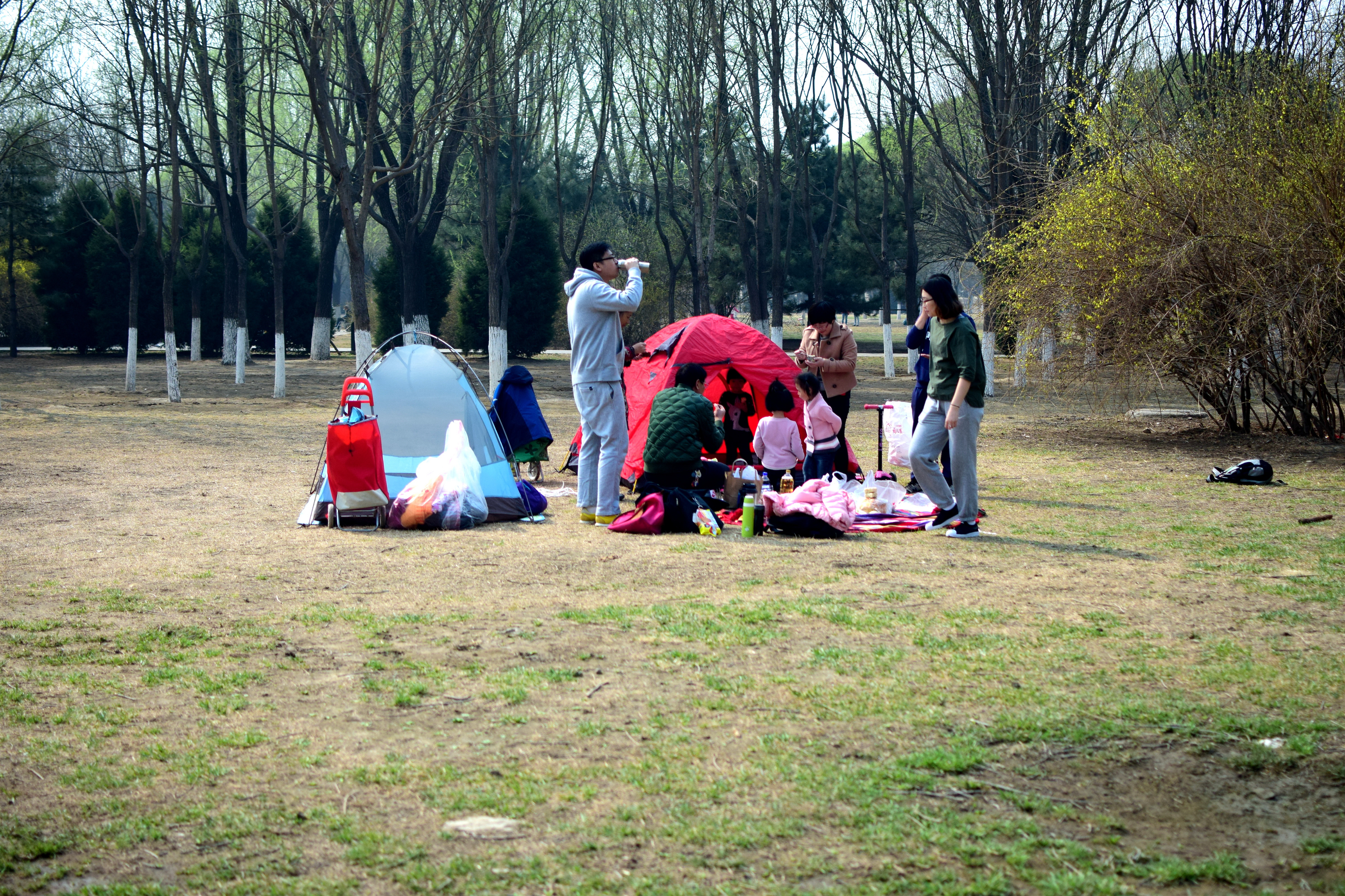 北京奥森开始限流，不允许游客带帐篷，这种场面暂时不会出现了