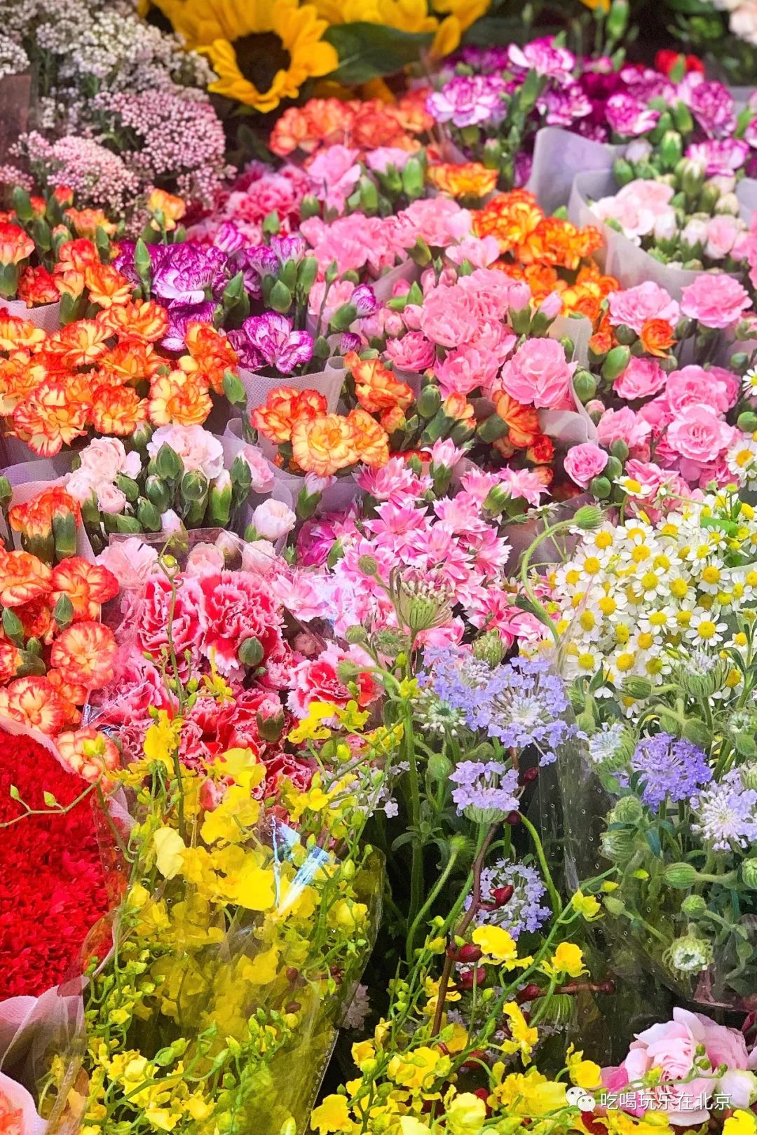 北京崇文区西花市大街,北京通州花市在哪里