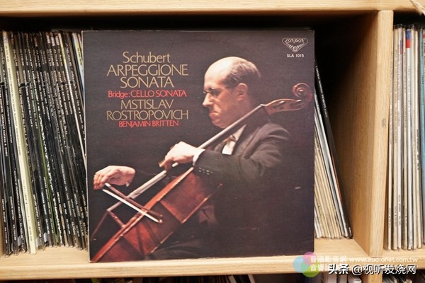 用buy两种方法造句,用buy造句有三单形式