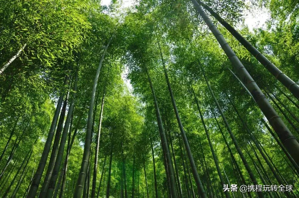 上海周边山一日游推荐,普陀山游两日游报价