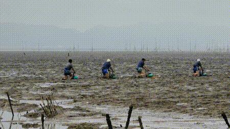 温岭吃海鲜,温岭禁渔期吃不到海鲜了吗