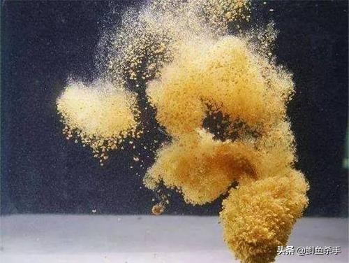 夏天野钓大鲫鱼怎么打窝避小鱼,野钓打什么窝料避小鱼