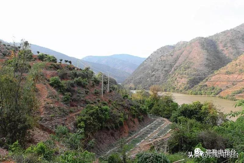 弥勒千亩西瓜熟了！黄心瓜、红心瓜、小香瓜…你喜欢哪种？