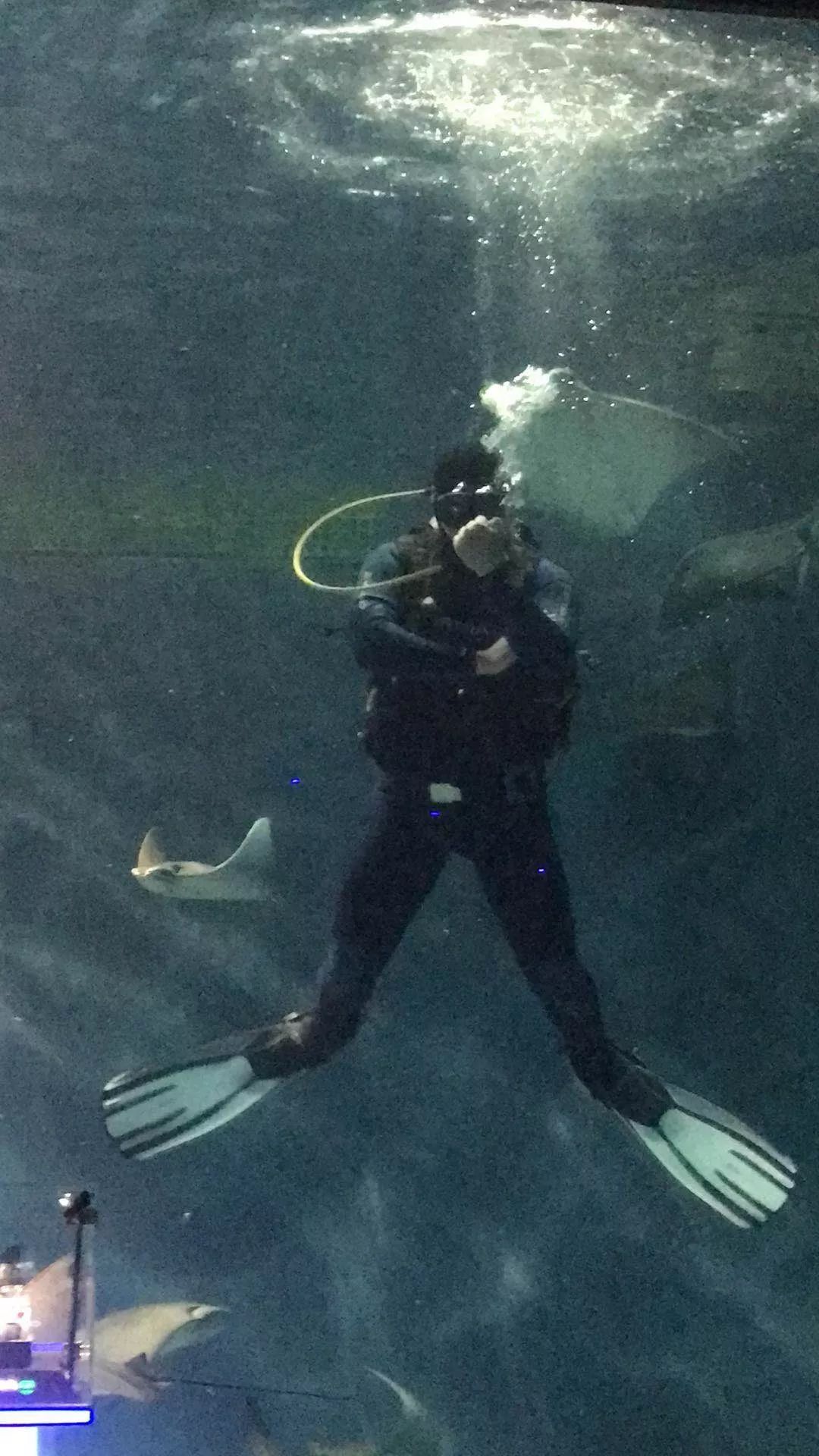 性价比高的石英潜水表,500米防水潜水表推荐