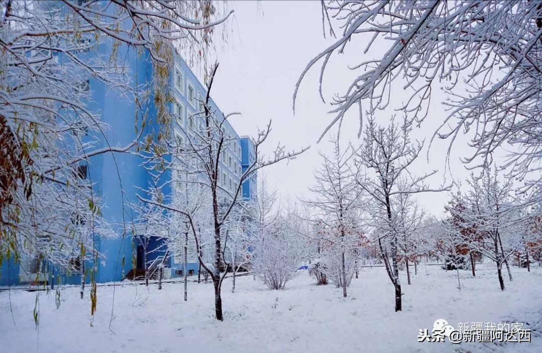 伊犁师范大学匆匆那年,终于等到你萨克斯演奏