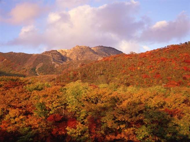 北海道快40个景点你全去过吗？快记笔记！这5个地方超适合过年