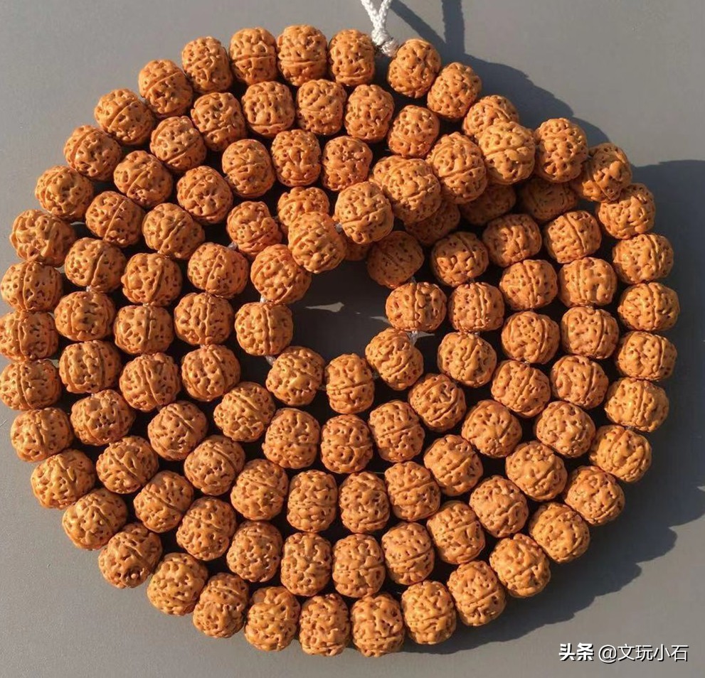 金刚菩提入门知识，新手必备，掌握了三言两语就能让别人刮目！