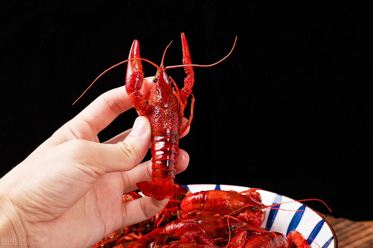 足彩第21081期胜负彩任九回顾,21050期胜负彩任九推荐