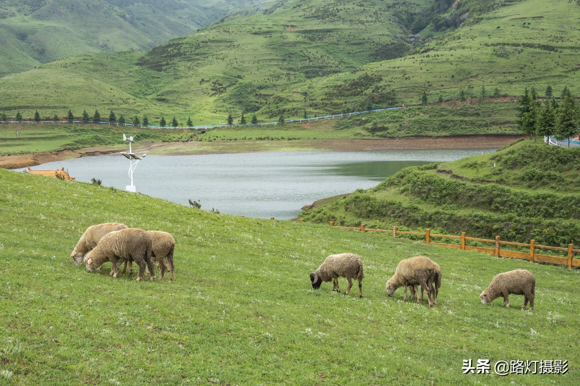 贵州这个县级市不简单，川黔要塞避暑胜地，靠一种水果跻身土豪榜