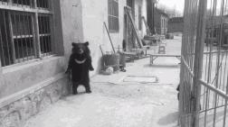 15岁怀孕,她被骗吃下*药炸**,一尸两命:有些人,这辈子不配为人