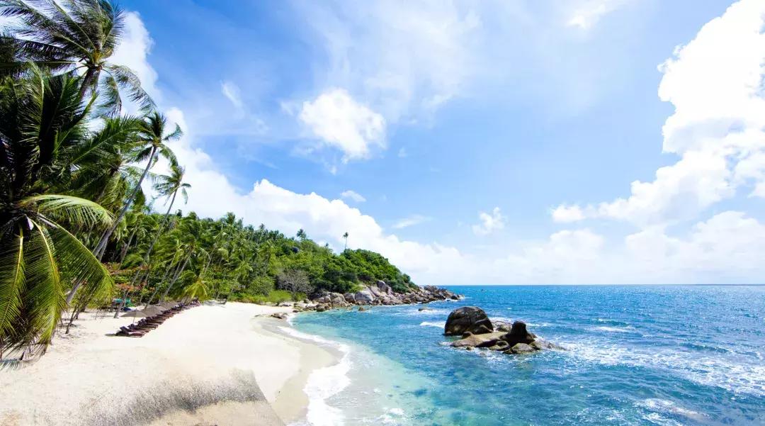 白本护照出境法国旅游免签吗,白本护照旅游去哪个国家比较好