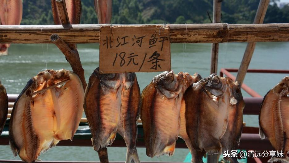 文艺和文艺的碰撞,清远白庙渔村风情