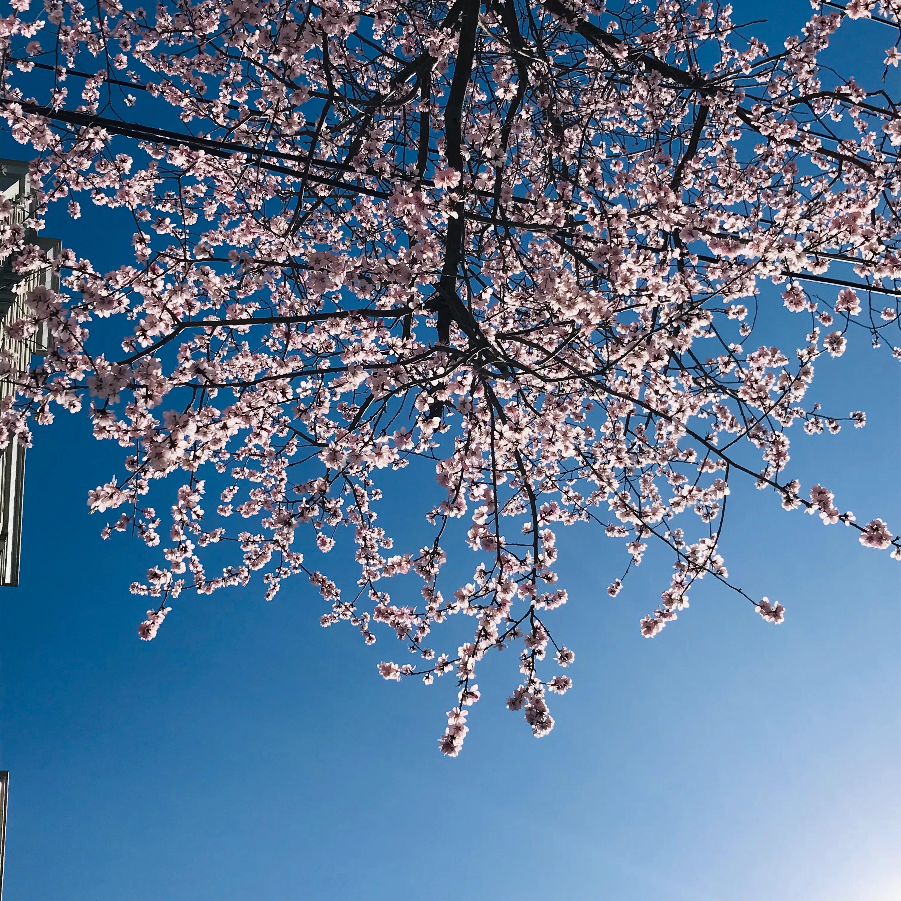 怎么可能不爱旅行呢,怎么不爱旅行呢