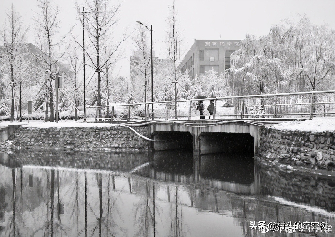 一个风花雪月的夜晚,一场人间烟火气的夜晚