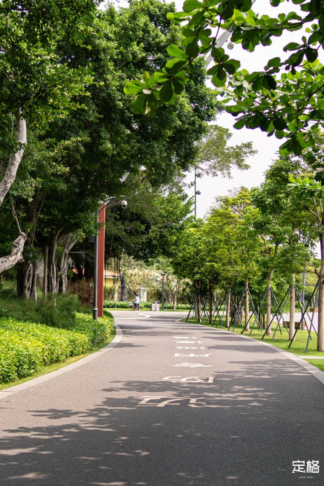 深圳人少的海滨公园,深圳滨海公园怎么样