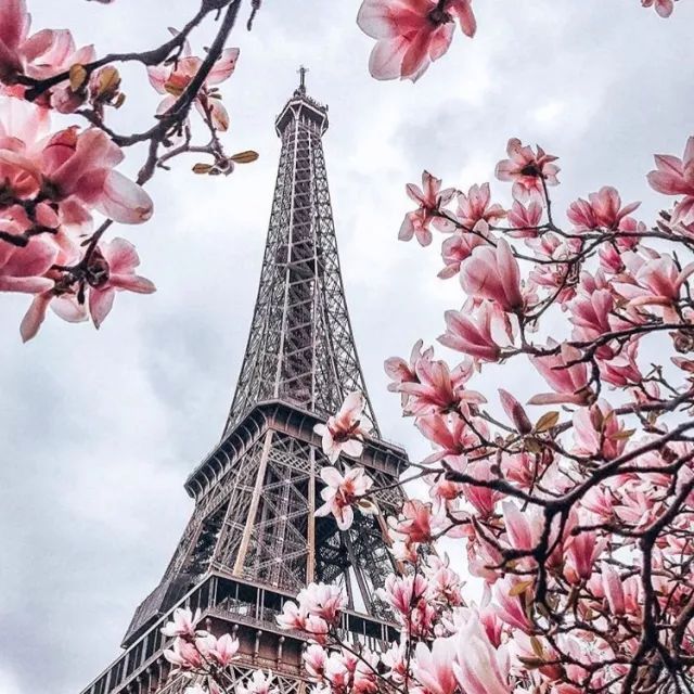 巴黎生活一个月的真实体验,在巴黎生活是怎样的体验