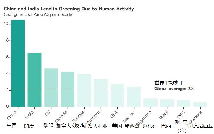 阿里蚂蚁森林怎么赚钱的,蚂蚁森林真的是阿里巴巴掏钱吗