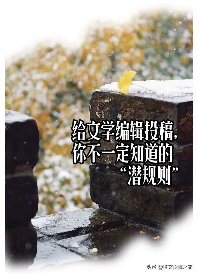 一名文学编辑有什么条件,文学投稿规则