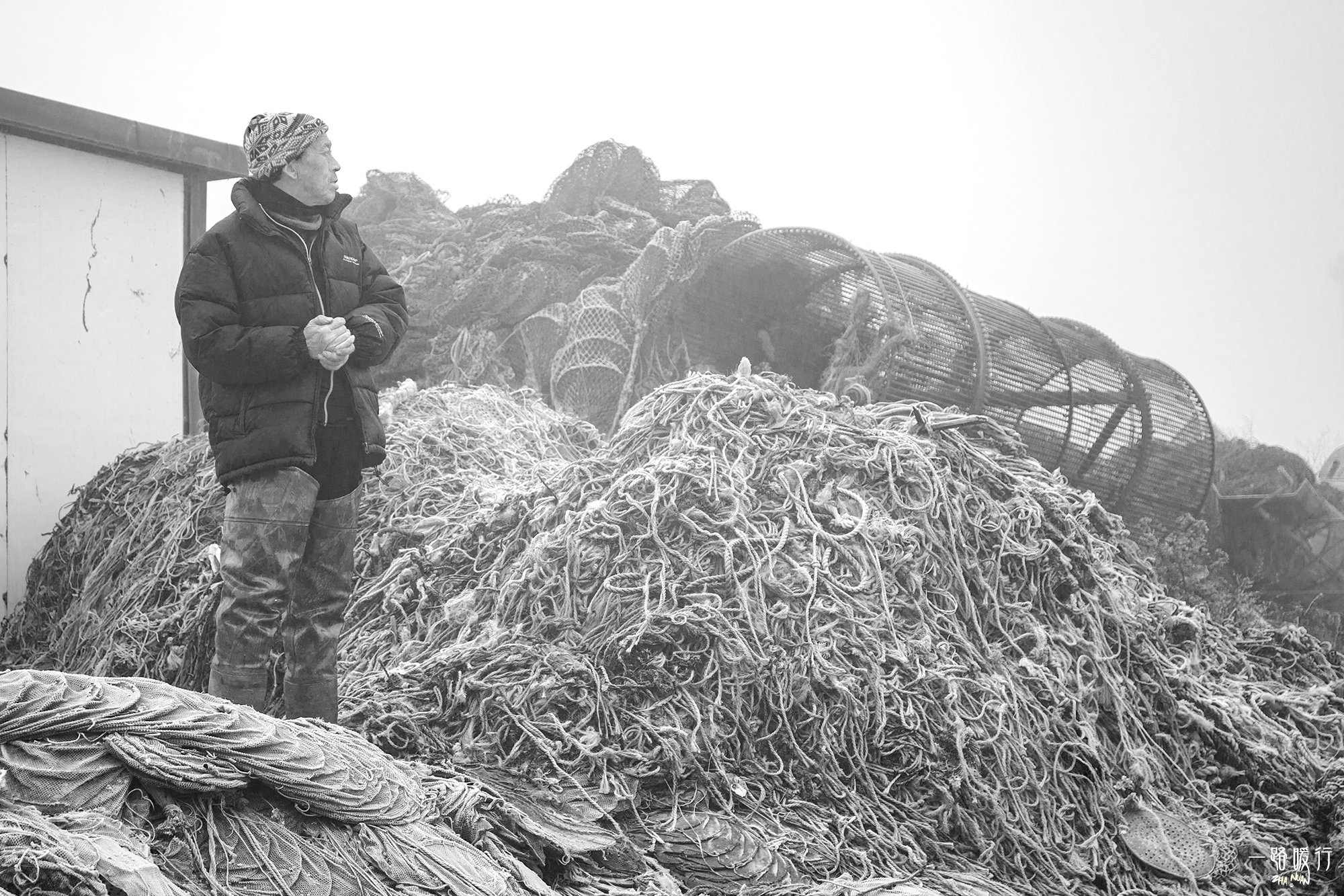 乳山为什么是长寿之乡,威海乳山市的海景房