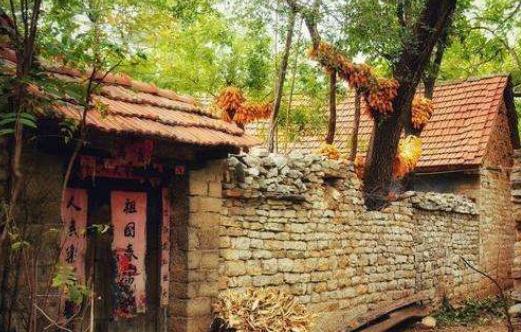 在那个困难又不缺少温情的年代，*靠我**捡麦穗买了第一双运动鞋！