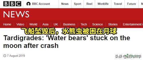 地球最强生物水熊坠落月球或幸存,地球最强的生物降临月球