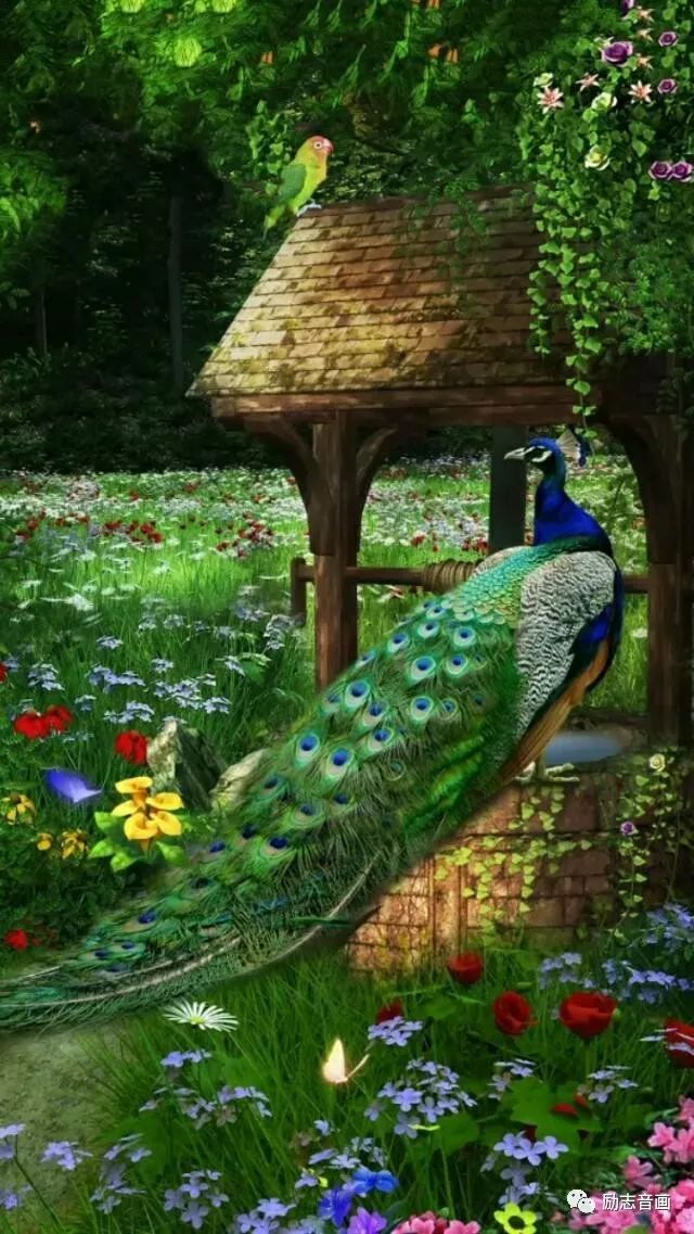 2020年绝美挂历送给你,天下第一福挂历2019年