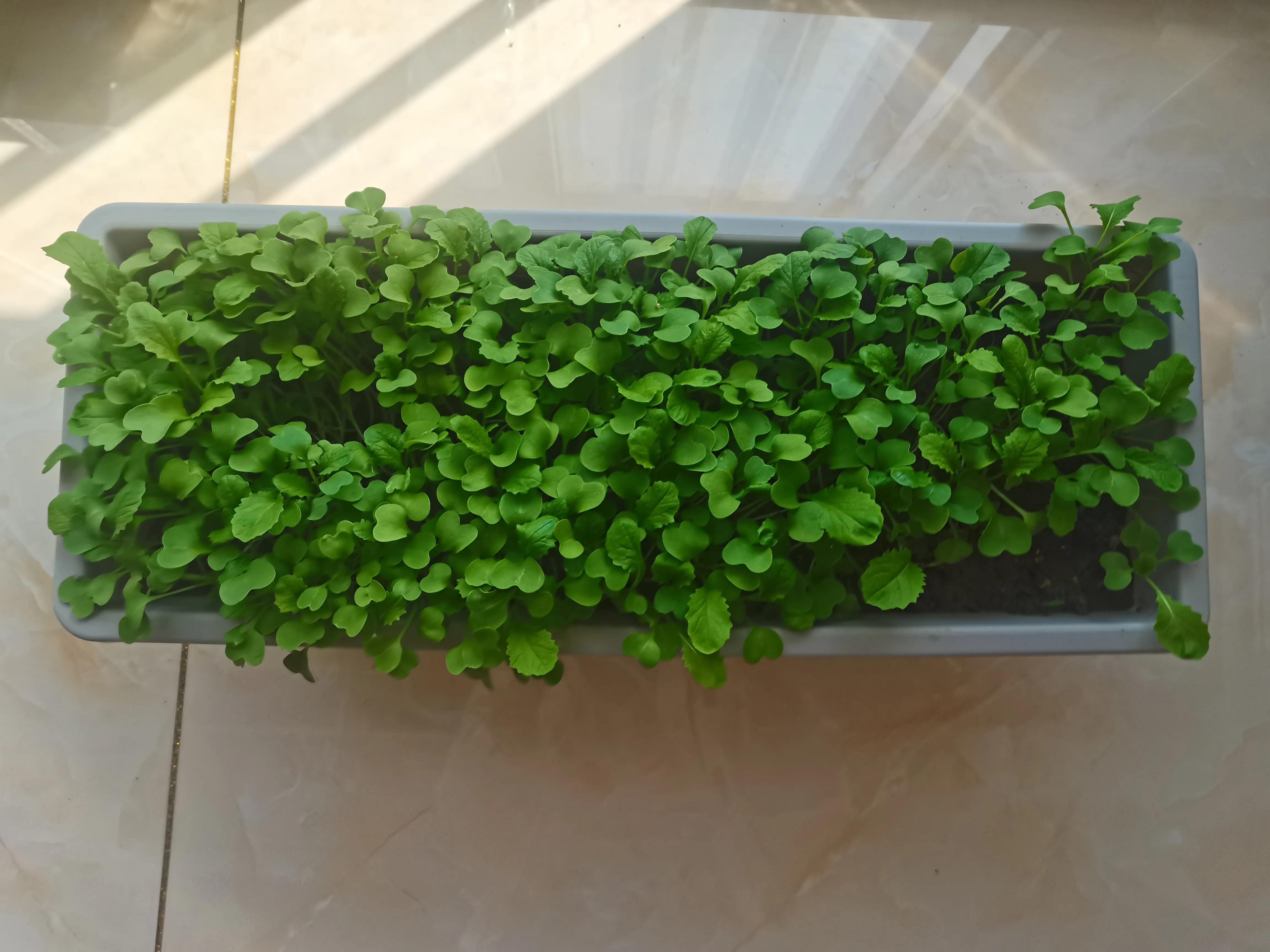 不要放弃农村的宅基地,不要放弃自己的农村宅基地