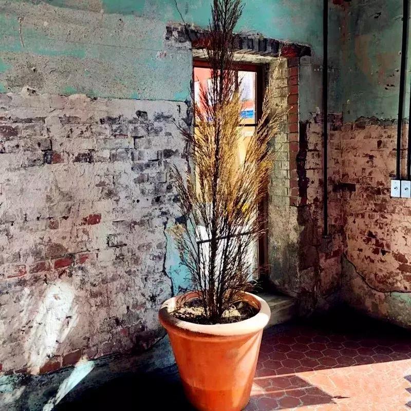 深圳这次入冬成功了吗,深圳终于进入了深秋的天气