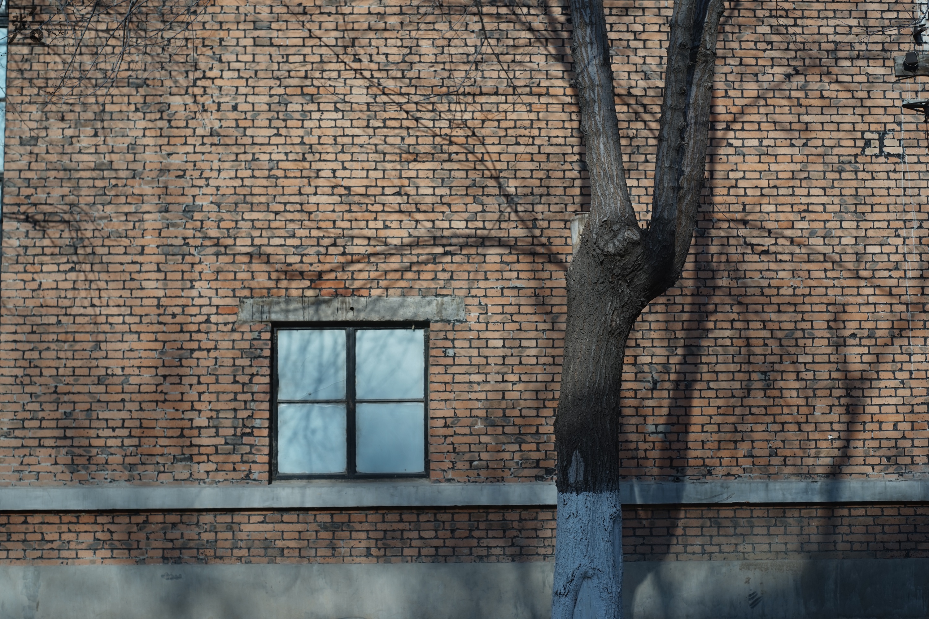 日本进口雅西卡胶卷相机,雅西卡135相机